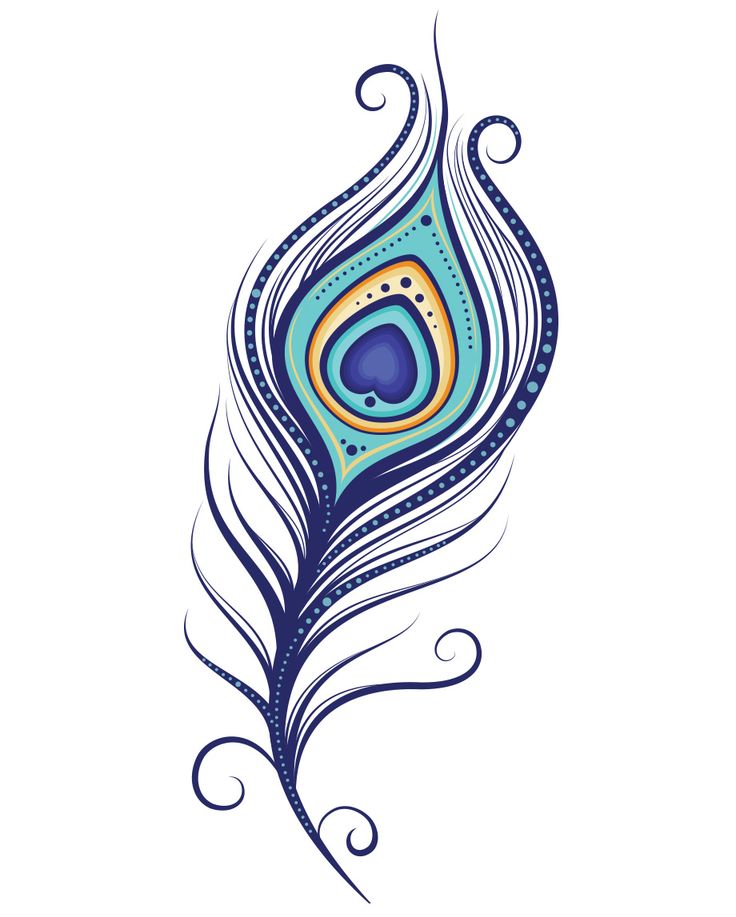 736x917 Peacock Clipart Feather Down