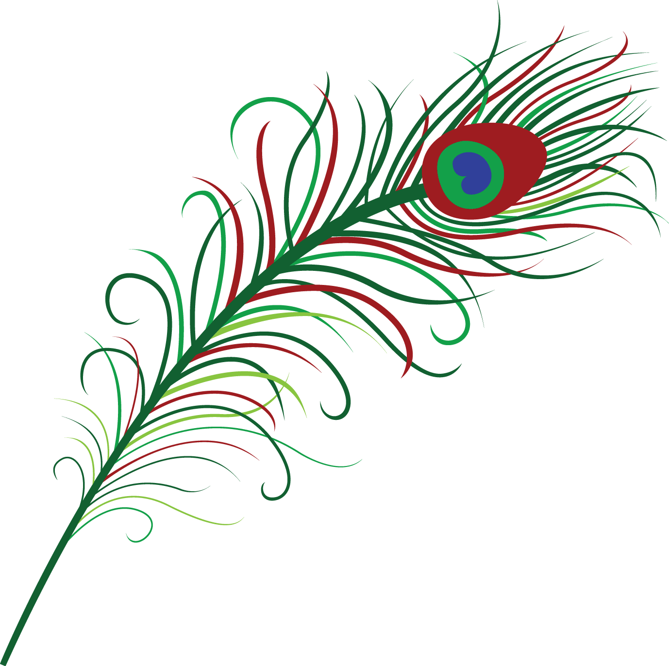 1378x1372 Simple Clipart Peacock Feather