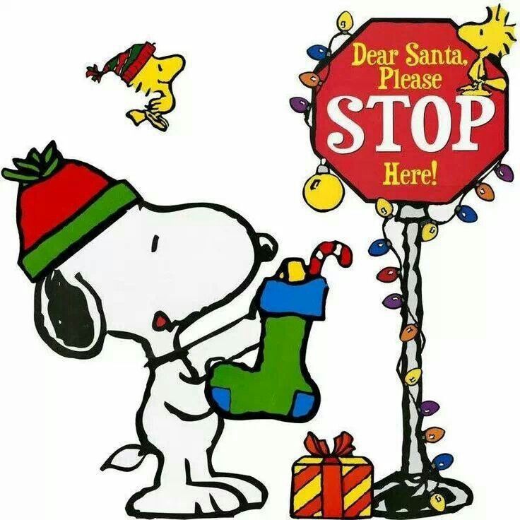 736x736 717 Best A Very Merry Christmas With The Peanuts Gang! Images