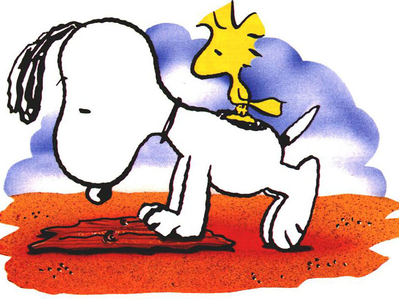 800x600 Snoopy Clipart Animal