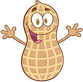 170x168 Peanuts Clipart