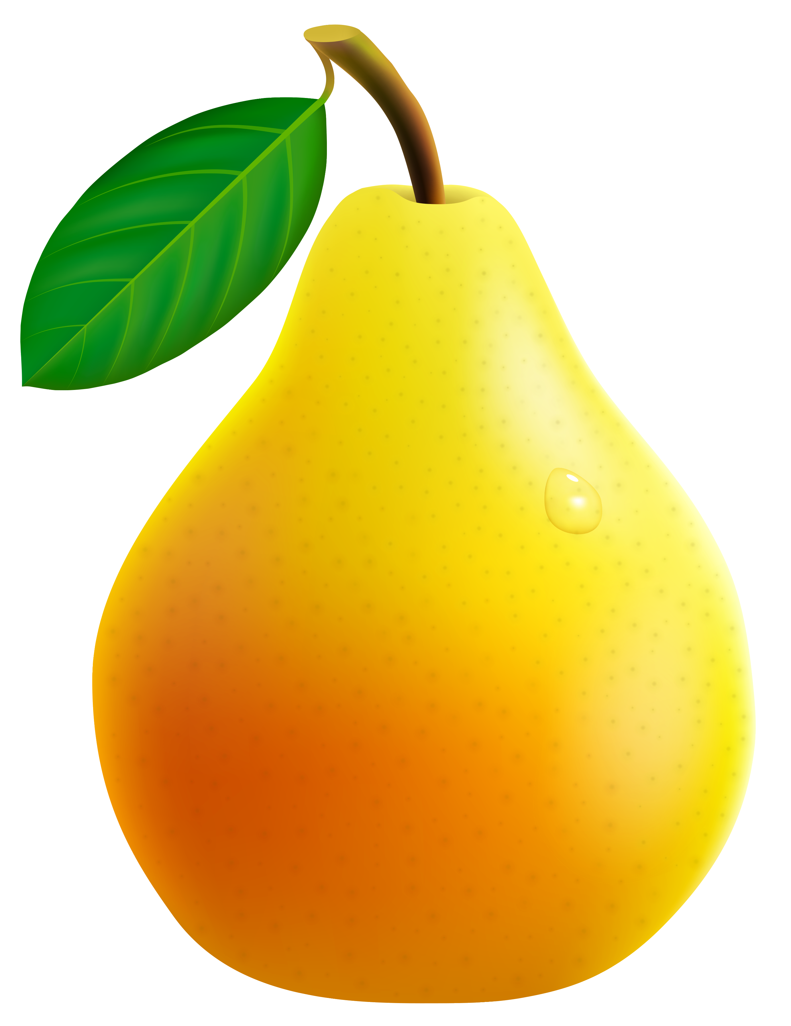 2761x3581 Yellow Pear Png Vector Clipart Imageu200b Gallery Yopriceville