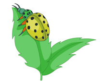 210x173 Search Results For Wasp Insect