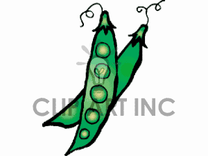 300x225 Peas Pea Pods.gif Clip Art Clipart Panda