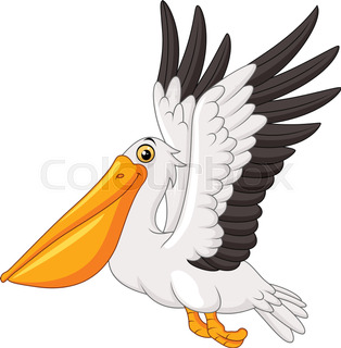 314x320 Pelican Clip Art Stock Vector Colourbox
