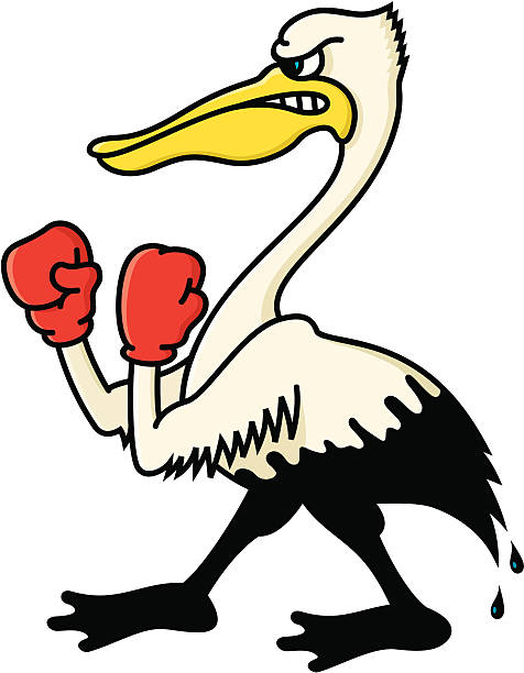 476x612 Pelican Clipart Angry