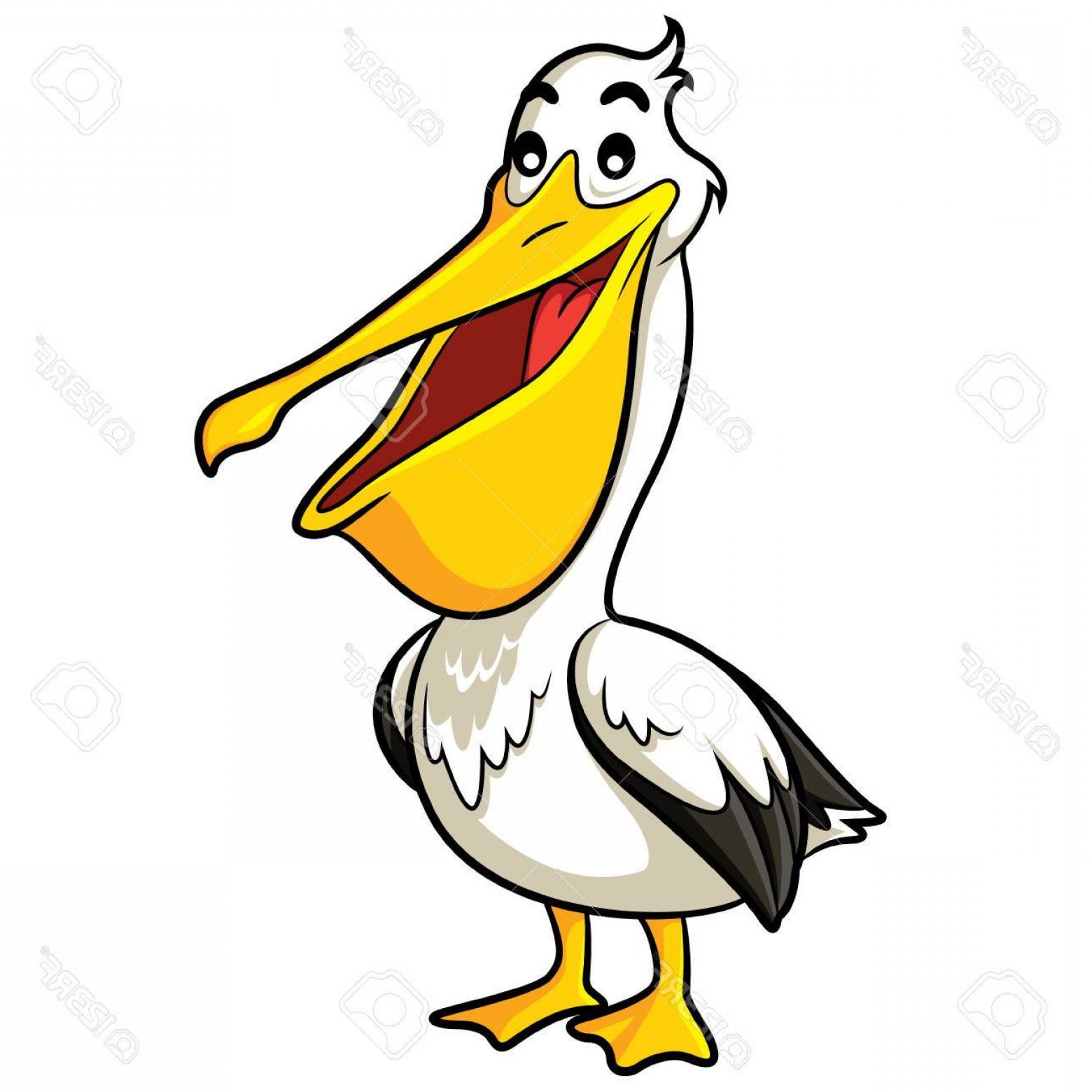 Pelican Clipart at GetDrawings | Free download