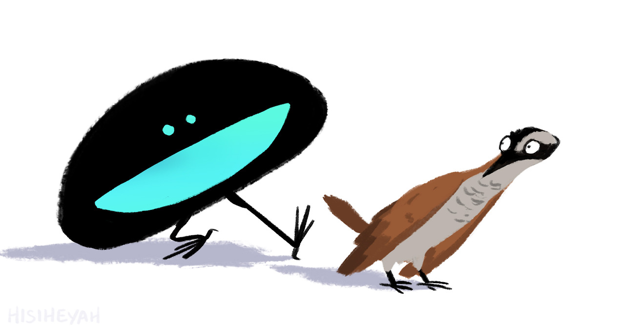 1280x678 Top 79 Pelican Clipart