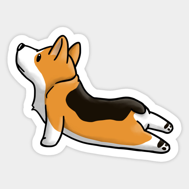 630x630 Corgi Yoga Pose