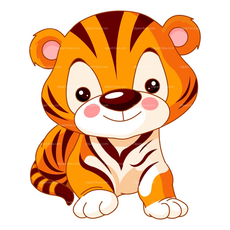 800x800 Tigres Clipart Cute