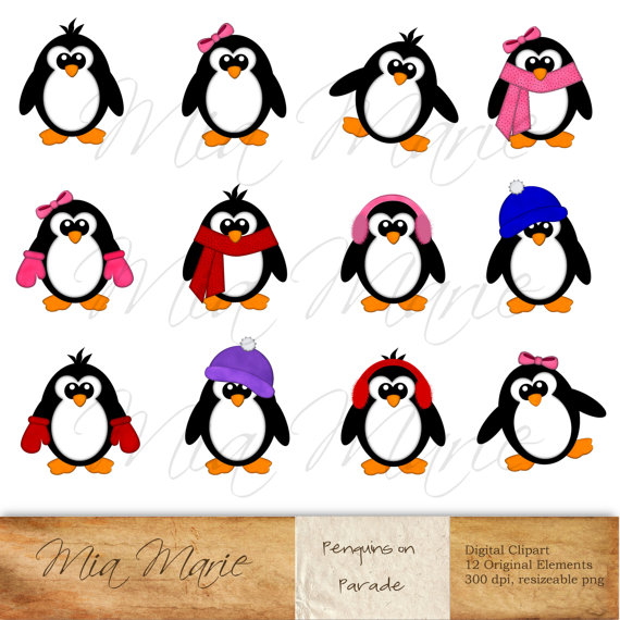 570x570 Instant Download Digital Clip Art Penguin Clipart Penguin