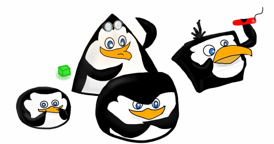 900x475 The Penguins Of Madagascar As Angry Birds By Fortheloveofpenguins