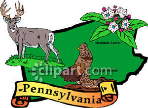 300x218 Green State Of Pennsylvania With State Symbols White Tailed Deer