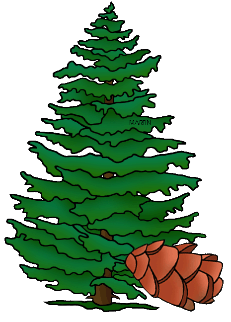 465x648 United States Clip Art By Phillip Martin, Pennsylvania State Tree