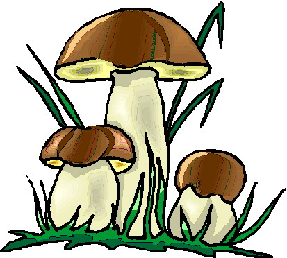 413x372 Steinilz Clipart