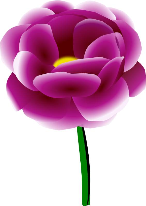 565x800 Free Clipart Peony Nadenka1