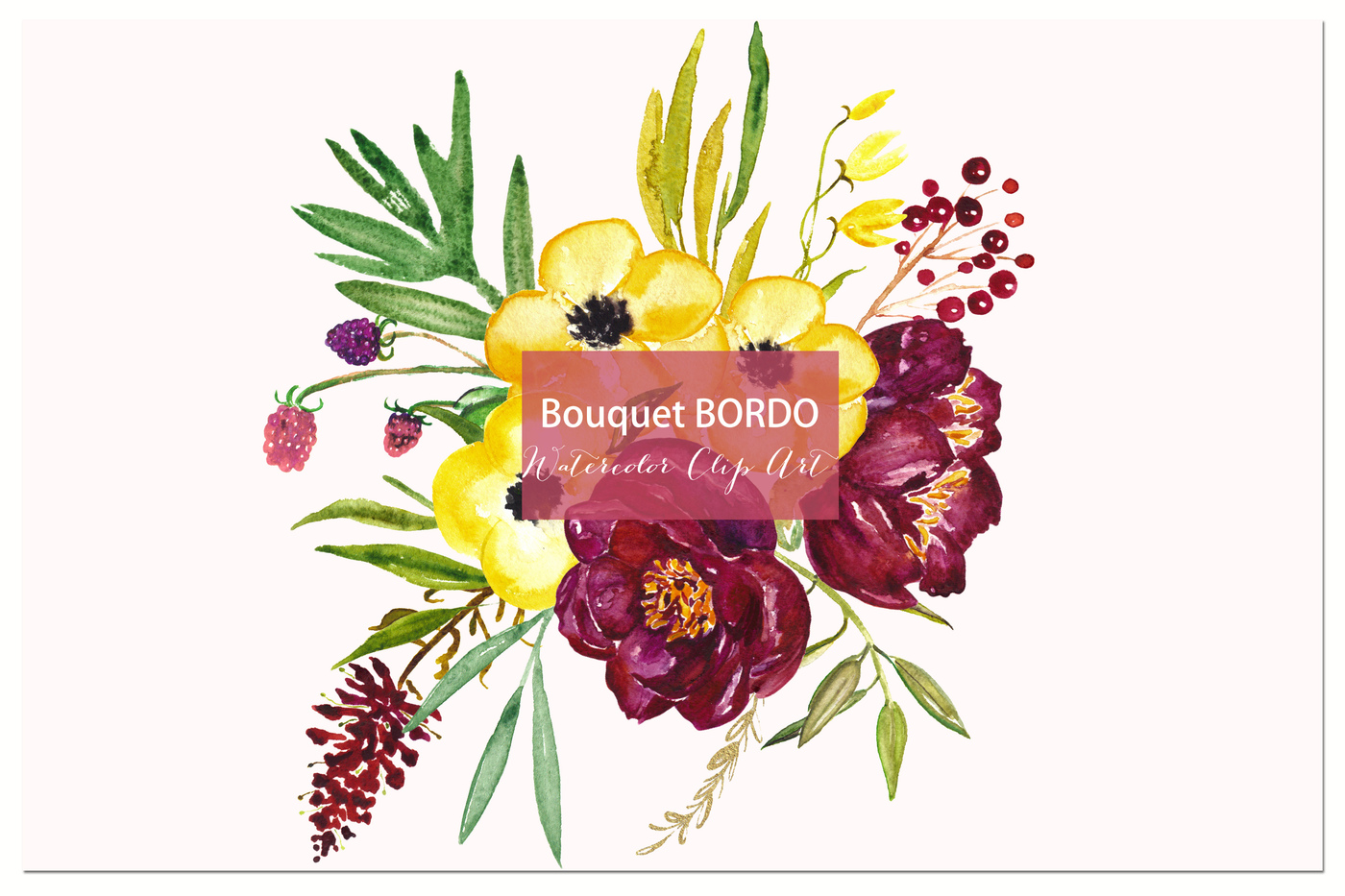 1400x933 Peony Bordeaux. Watercolor Clip Art. By Labfcreations