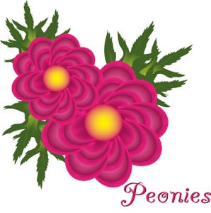 298x300 Peony Flower Clipart