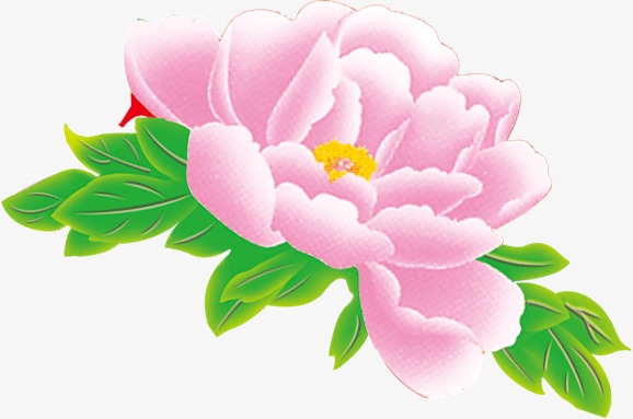 578x383 Pink Peony, Pink, Green Leaves, Peony Png Image And Clipart