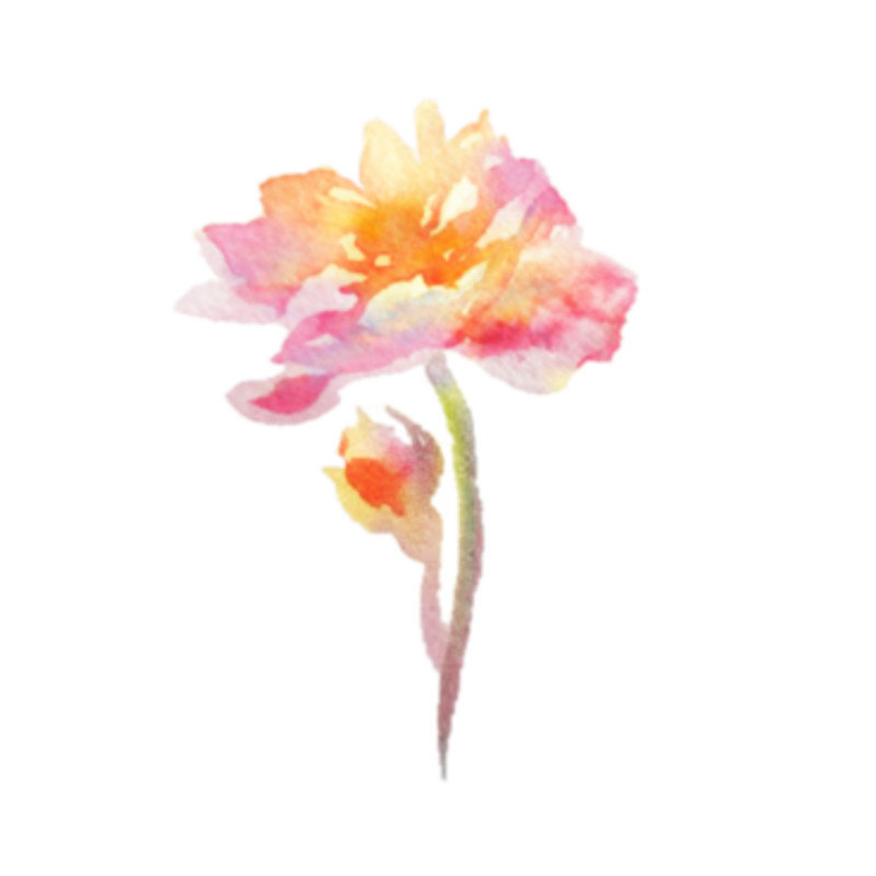 800x800 Pretty Pink And Orange Flower Clip Art Watercolour Flower