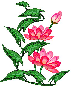 237x288 Water Lily Clip Art
