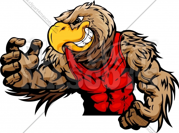 590x438 Falcon Clipart Cartoon