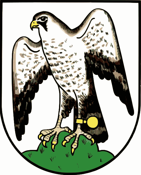 485x600 Filesokolov Coa Cz.svg