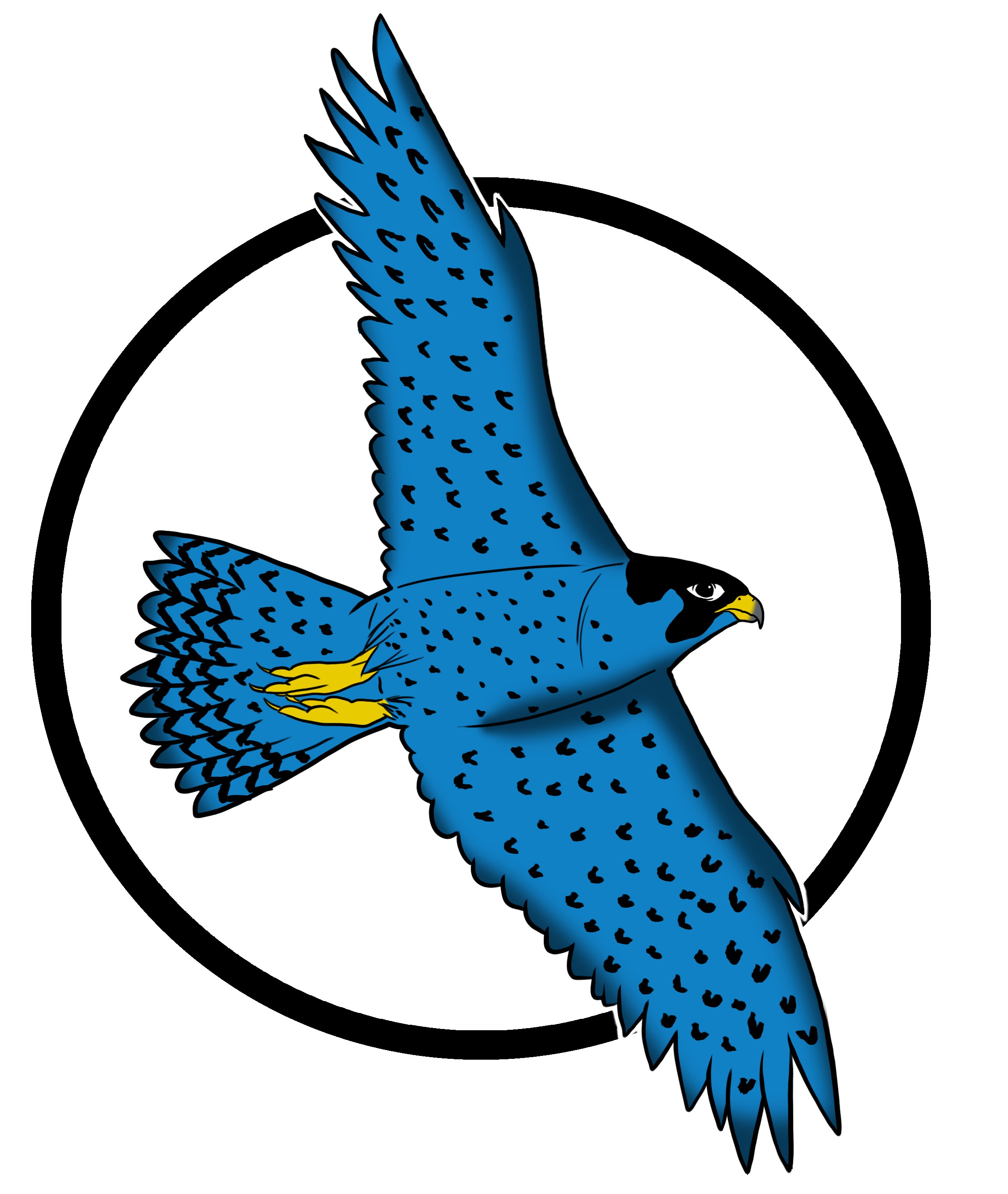 Peregrine Falcon Clipart at GetDrawings | Free download