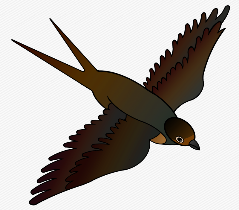 800x702 Schwalbe Clipart 6 Clipart Station