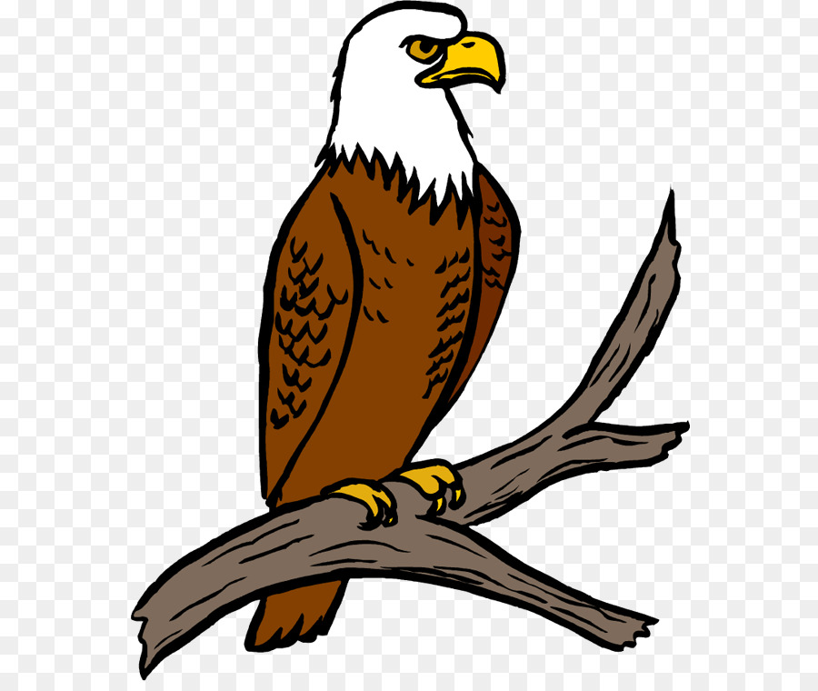 900x760 Bald Eagle Free Content Clip Art