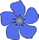 158x160 Flower Top View Clipart