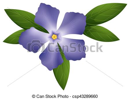 450x345 Periwinkle In Blue Color Illustration Clip Art Vector