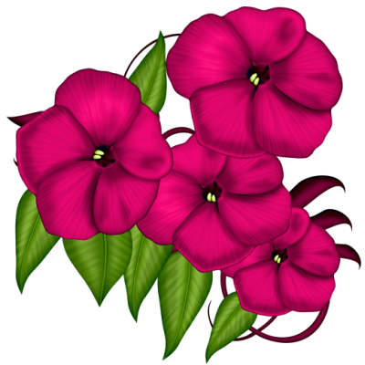 Periwinkle Clipart at GetDrawings | Free download