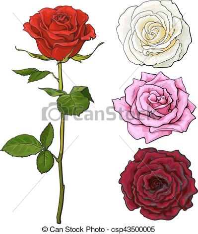 399x470 Clipart Side View Flower
