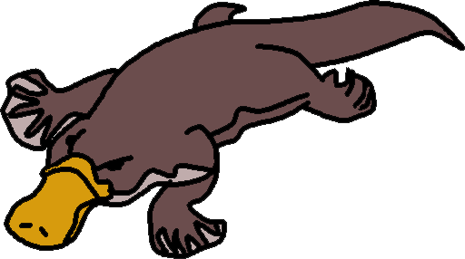 512x286 Platypus Clipart Free Images 4