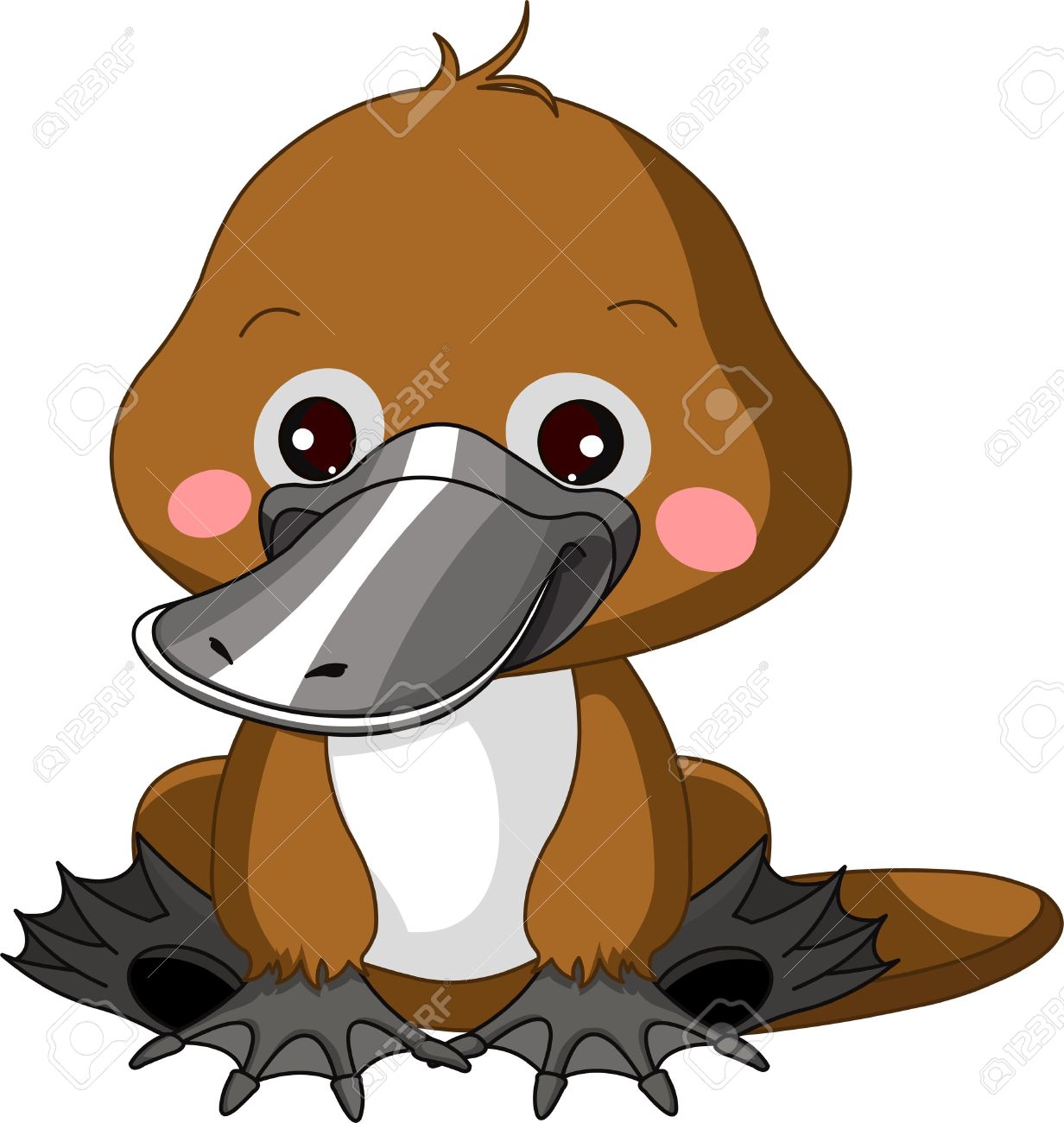 1232x1300 Cute Platypus Clipart