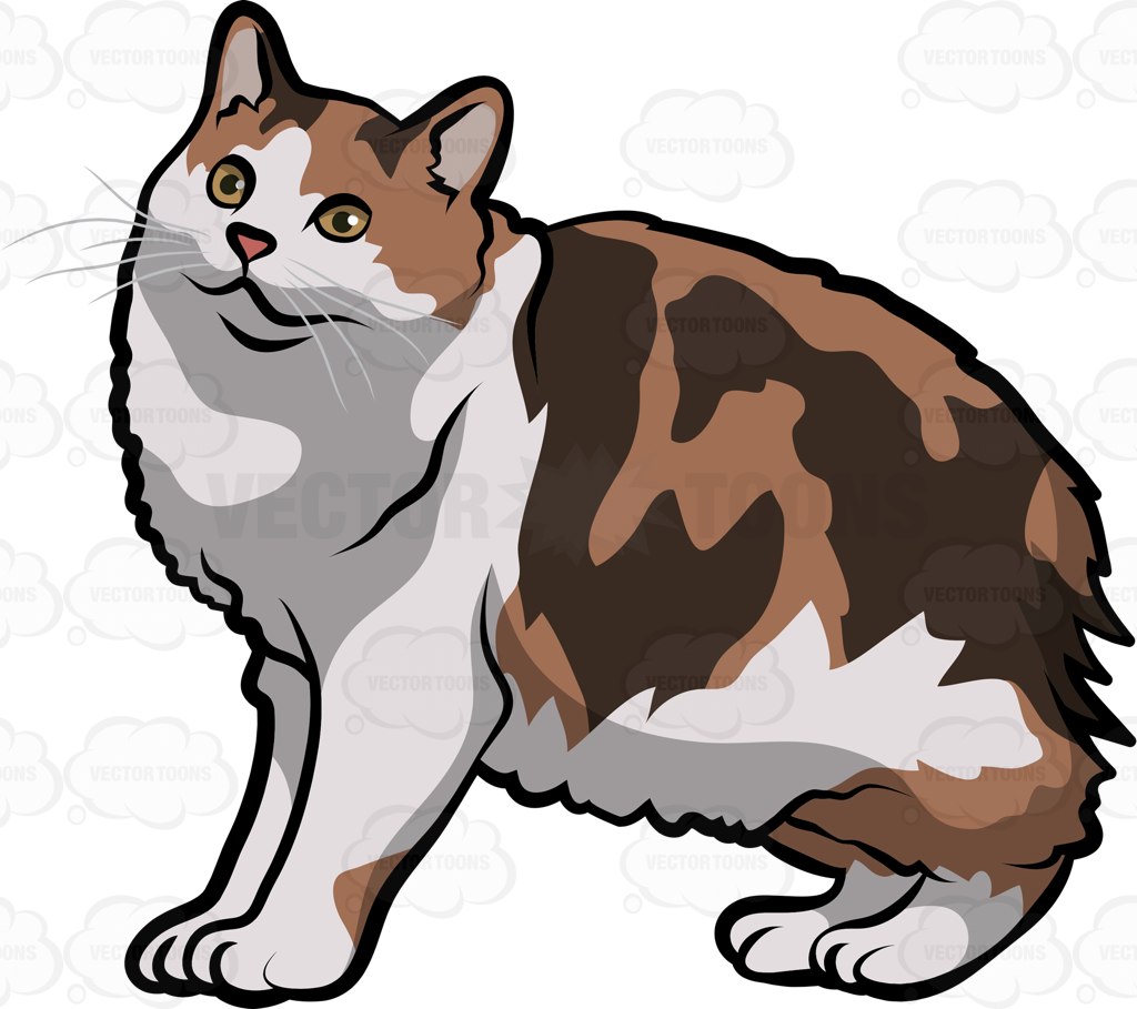 Persian Cat Clipart at GetDrawings.com | Free for personal use Persian