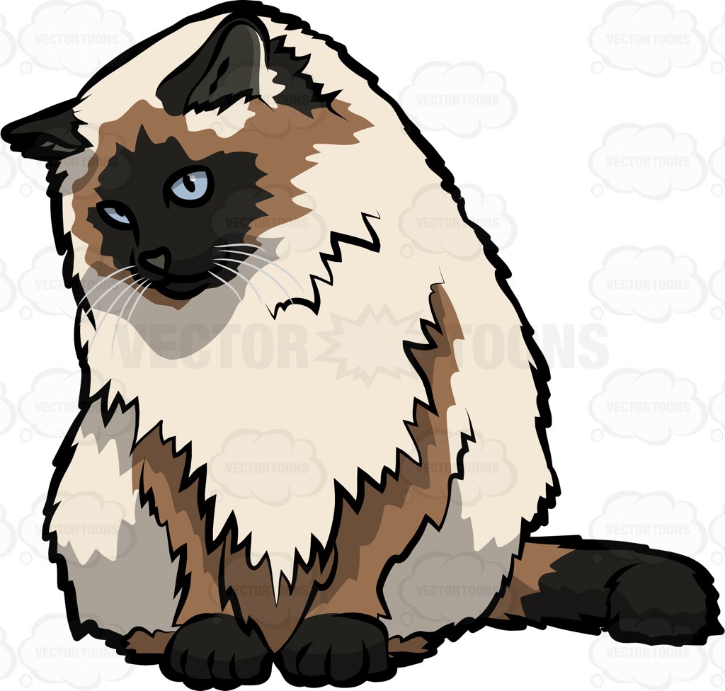 1024x976 Amazing Ideas Himalayan Cat Clip Art A Cartoon Clipart Vector