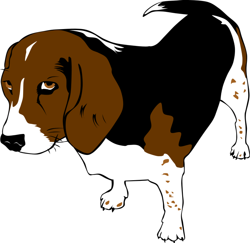 800x778 Free Clip Art Dog
