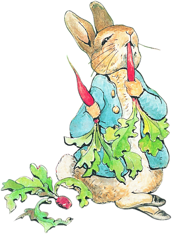 572x779 Collection Of Free Peter Rabbit Clipart High Quality, Free