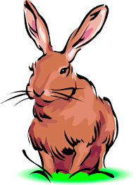 193x262 Image Result For Rabbit Clip Art Critter Cip Art