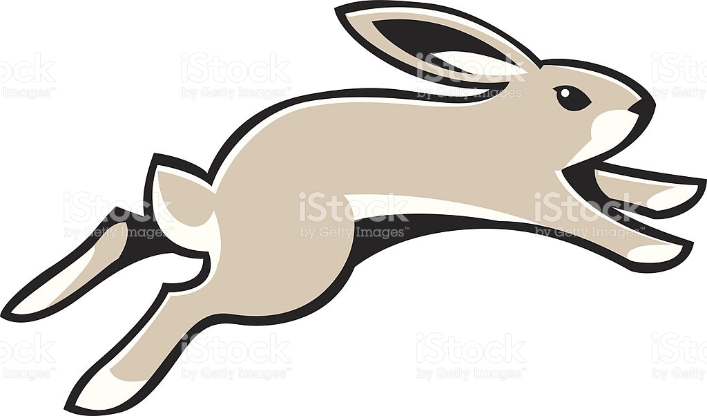 1024x602 Jack Rabbit Clipart 101 Clip Art