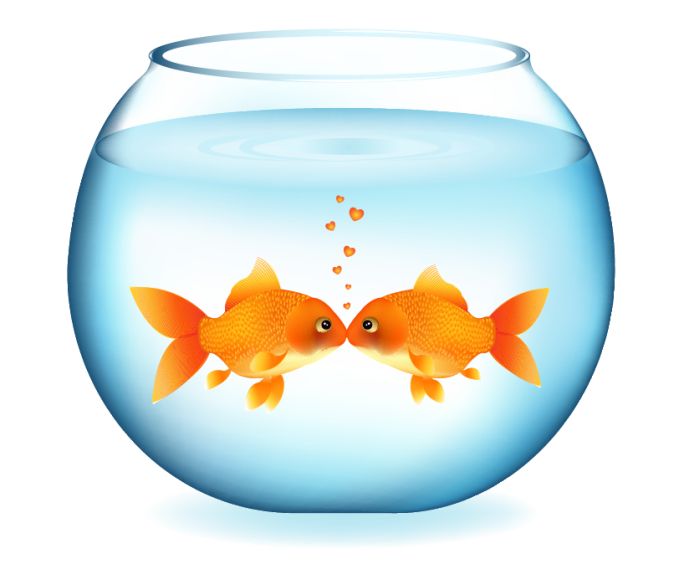 680x564 Fish Bowl Cat And Fish In Bowl Clip Art A Free Graphic From Pets 3