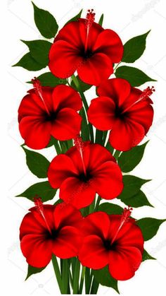 236x419 Fleurs 2 Pinturas Flores Flowers, Hibiscus