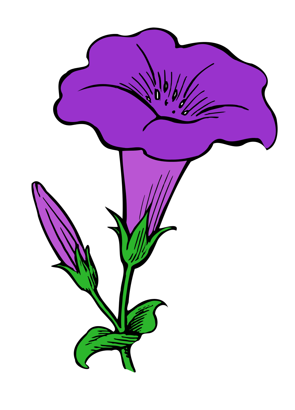 Petunia Clipart at GetDrawings | Free download