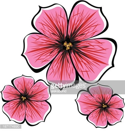 404x425 Pink Vector Petunia Flowers Isolated On White Background Premium