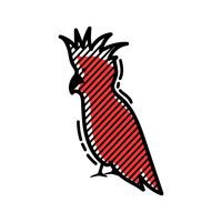 200x200 Golden Pheasant Bird Birds Animal Animals Beak Beaks Colourful