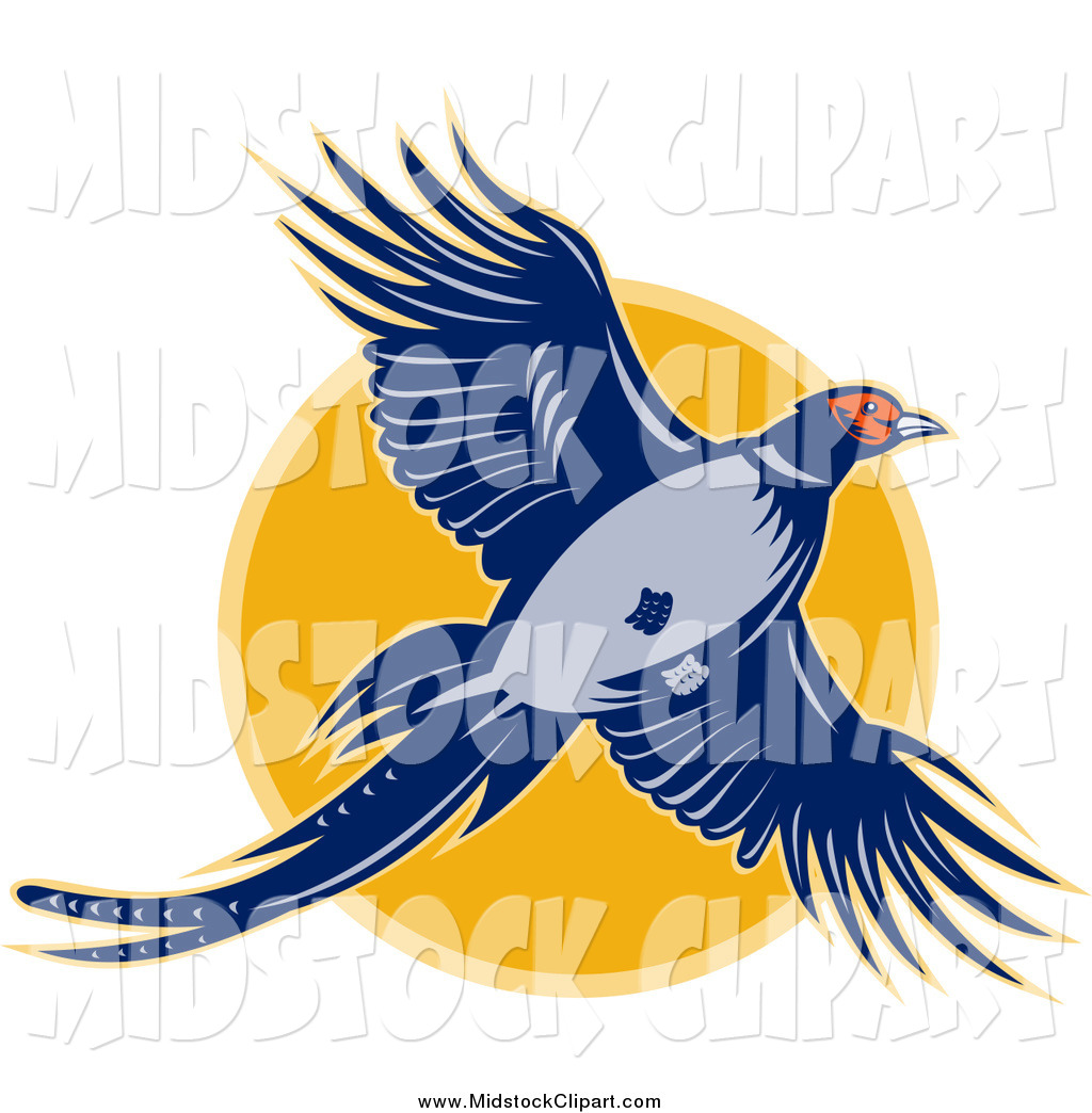 1024x1044 Pheasant Clipart Clipart Panda