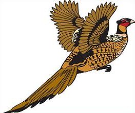 Pheasant Clipart at GetDrawings | Free download