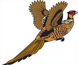 263x221 Pheasant Clipart Pheasant Hunting 3782808